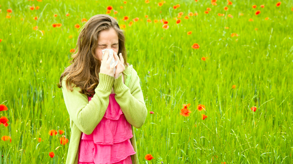 What are the latest treatments for hay fever